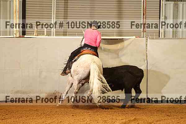 Proof 10usn_28585
