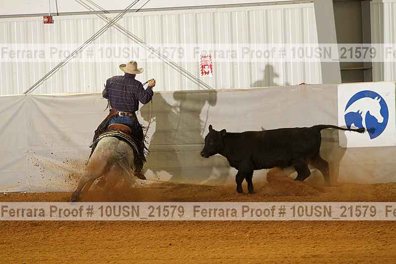 Proof 10usn_21579