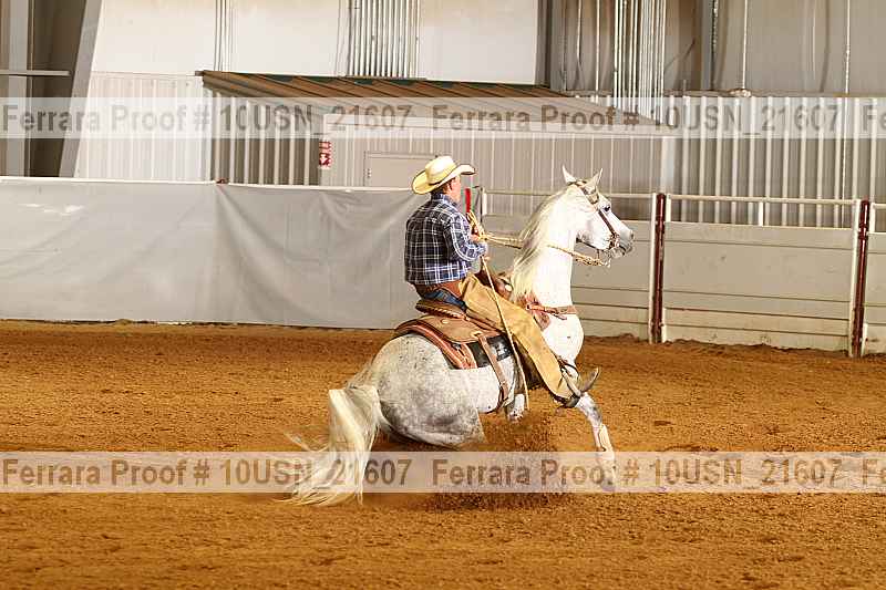 Proof 10usn_21607