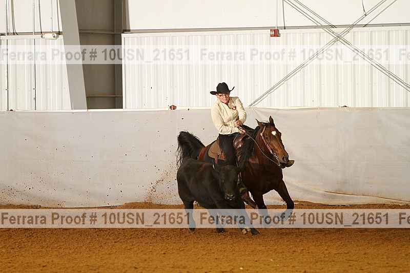 Proof 10usn_21651
