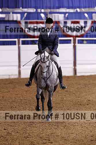 Proof 10usn_06473