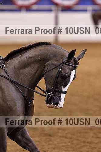 Proof 10usn_06480