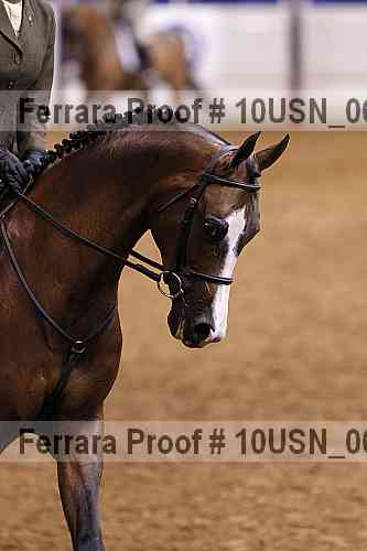 Proof 10usn_06482