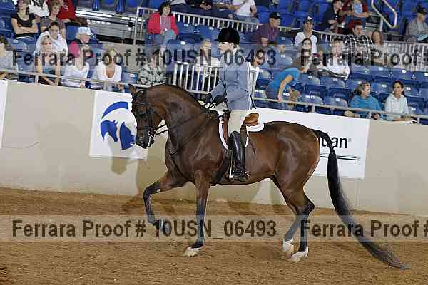 Proof 10usn_06493