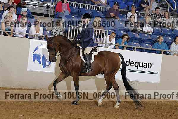Proof 10usn_06500