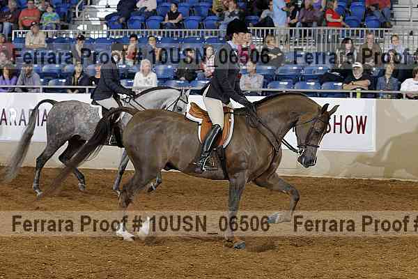 Proof 10usn_06506