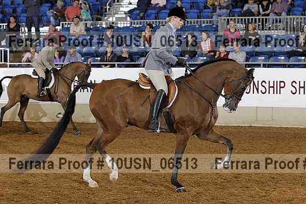 Proof 10usn_06513