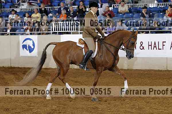 Proof 10usn_06515
