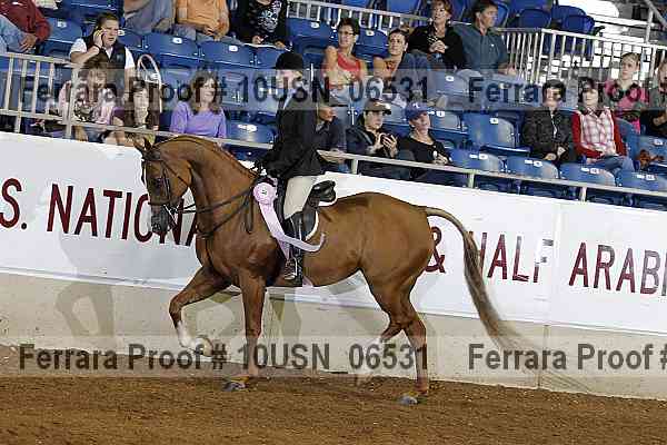 Proof 10usn_06531