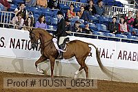 10usn_06531 proof