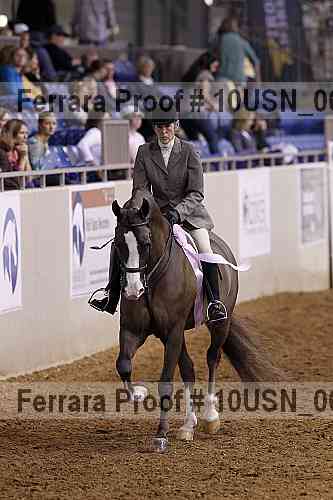 Proof 10usn_06546
