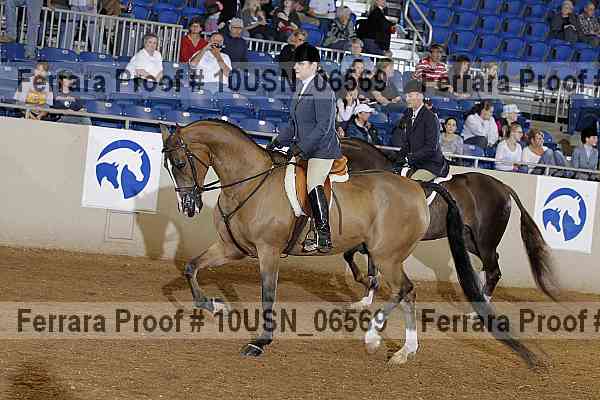 Proof 10usn_06569