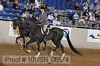 10usn_06574 proof