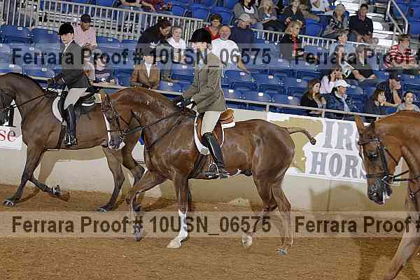Proof 10usn_06575