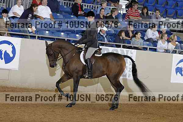 Proof 10usn_06576