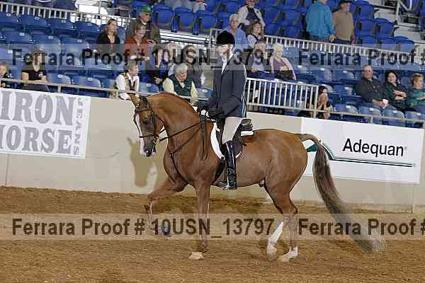 Proof 10usn_13797