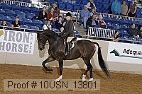 10usn_13801 proof