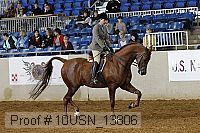 10usn_13806 proof