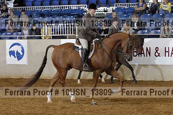 Proof 10usn_13809