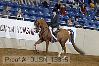 10usn_13815 proof