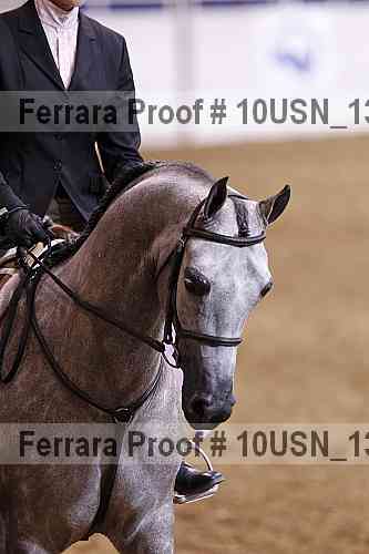 Proof 10usn_13828