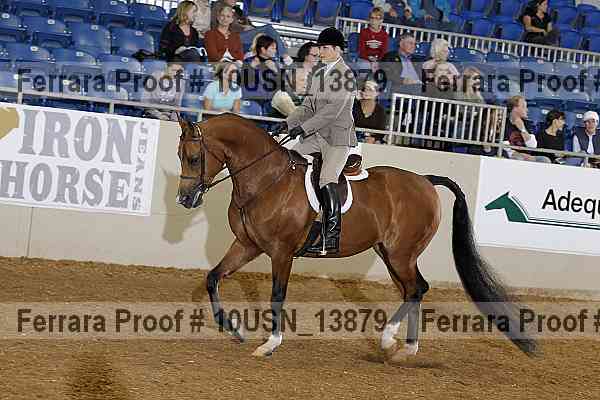 Proof 10usn_13879