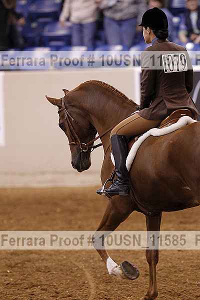 Proof 10usn_11585