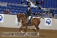 10usn_11595 proof