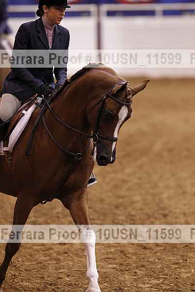 Proof 10usn_11599