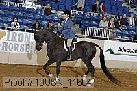 10usn_11604 proof