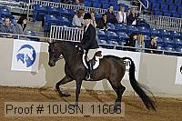 10usn_11606 proof