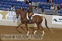 10usn_11609 proof
