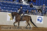 10usn_11615 proof