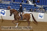 10usn_11636 proof