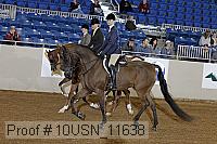 10usn_11638 proof