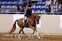 10usn_11675 proof