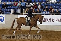 10usn_11678 proof