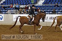 10usn_11690 proof