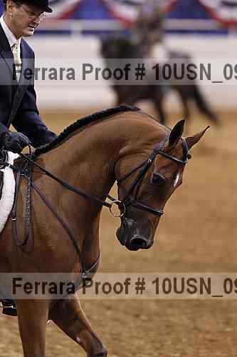 Proof 10usn_09147