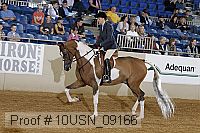 10usn_09166 proof