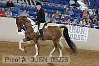 10usn_09226 proof