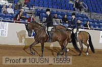 10usn_15599 proof