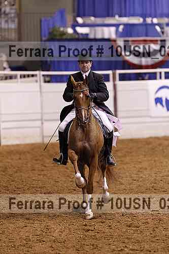 Proof 10usn_03339
