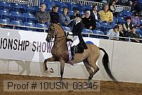 10usn_03345 proof