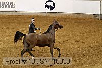 10usn_18330 proof
