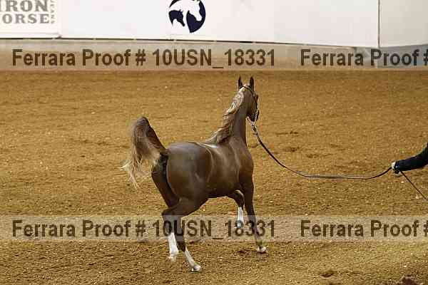 Proof 10usn_18331