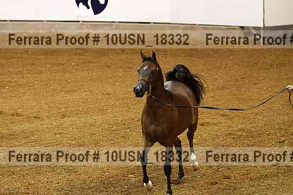 Proof 10usn_18332