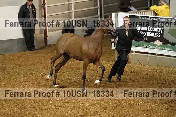 Proof 10usn_18334