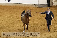 10usn_18337 proof