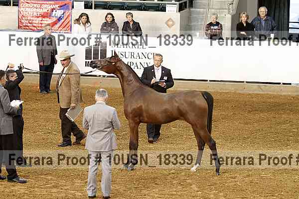 Proof 10usn_18339